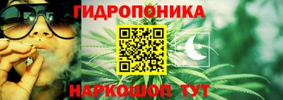 трава Боровичи