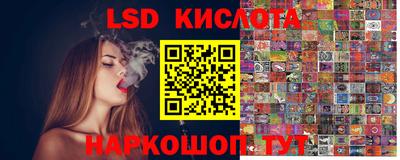 гидра Владимир