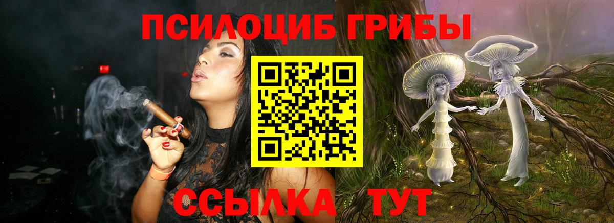 Артёмовский  Галлюциногенные грибы Psilocybe  Псилоцибиновые грибы мицелий  Вход с VPN 